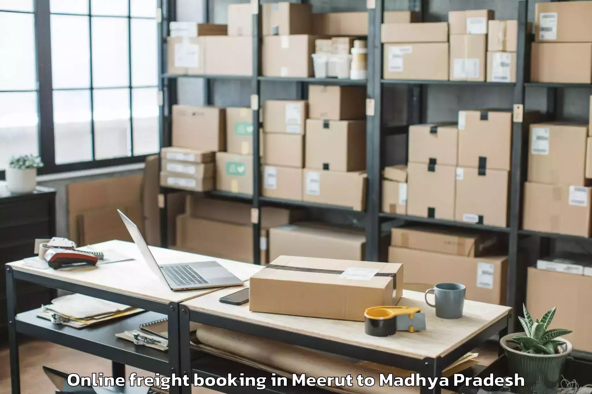 Expert Meerut to Ghugri Online Freight Booking